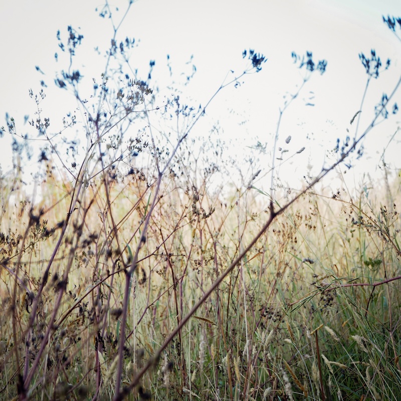 illustration de la série de photographies : On ne sait pas la force de la nature. On la sait trop