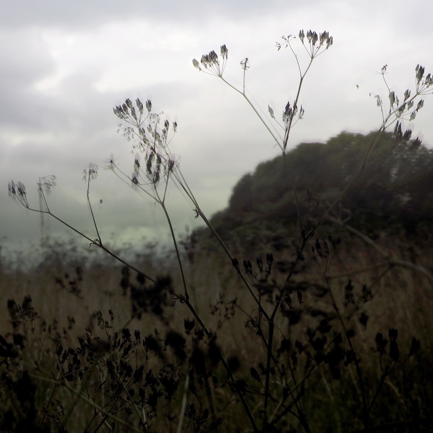 photographie numéro 7 de la série : On ne sait pas la force de la Nature — On le sait trop.